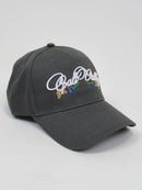 Grey California Valley Cap