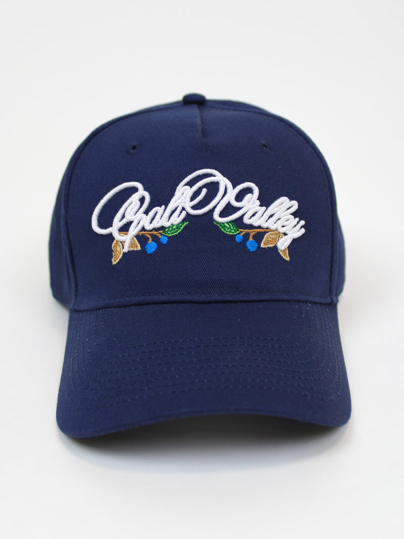 Navy California Valley Cap